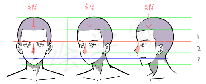 概念了——三庭五眼所謂三庭五眼,就是指臉部的長度和寬度的標準比例