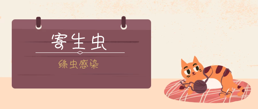 猫寄生虫系列 绦虫感染2 0 知乎 猫寄生虫系列 绦虫感染2 0 知乎