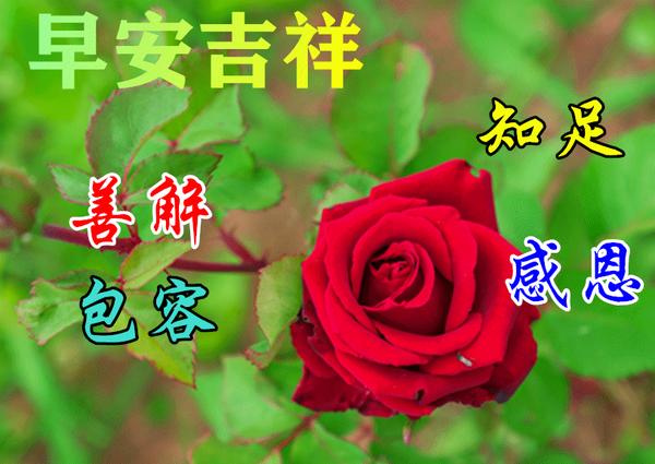 8张秋日最新特漂亮早上好鲜花动画图片带祝福语2021最美秋天早安问候