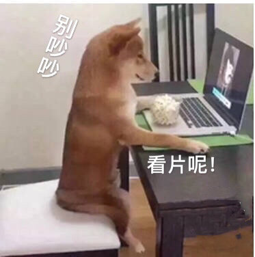 婚前沙雕文案,婚前沙雕文案短句