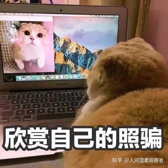 有病沙雕自拍文案,有病沙雕的文案