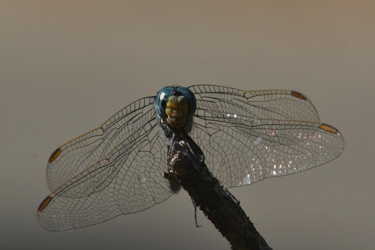 6. 空调扇功率标准