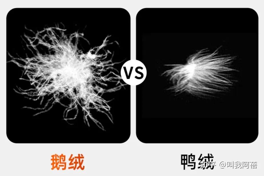 1,鸭绒和鹅绒有什么区别?哪个更保暖?
