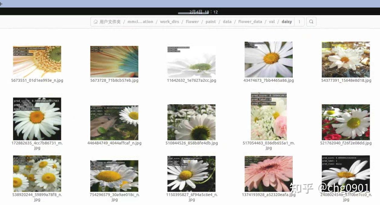 Mmclassification with flower dataset openmmlab basic assignment1 