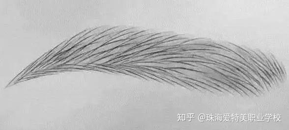 v2-0afac74d984492c7166c08101694dfc8_r.jpg
