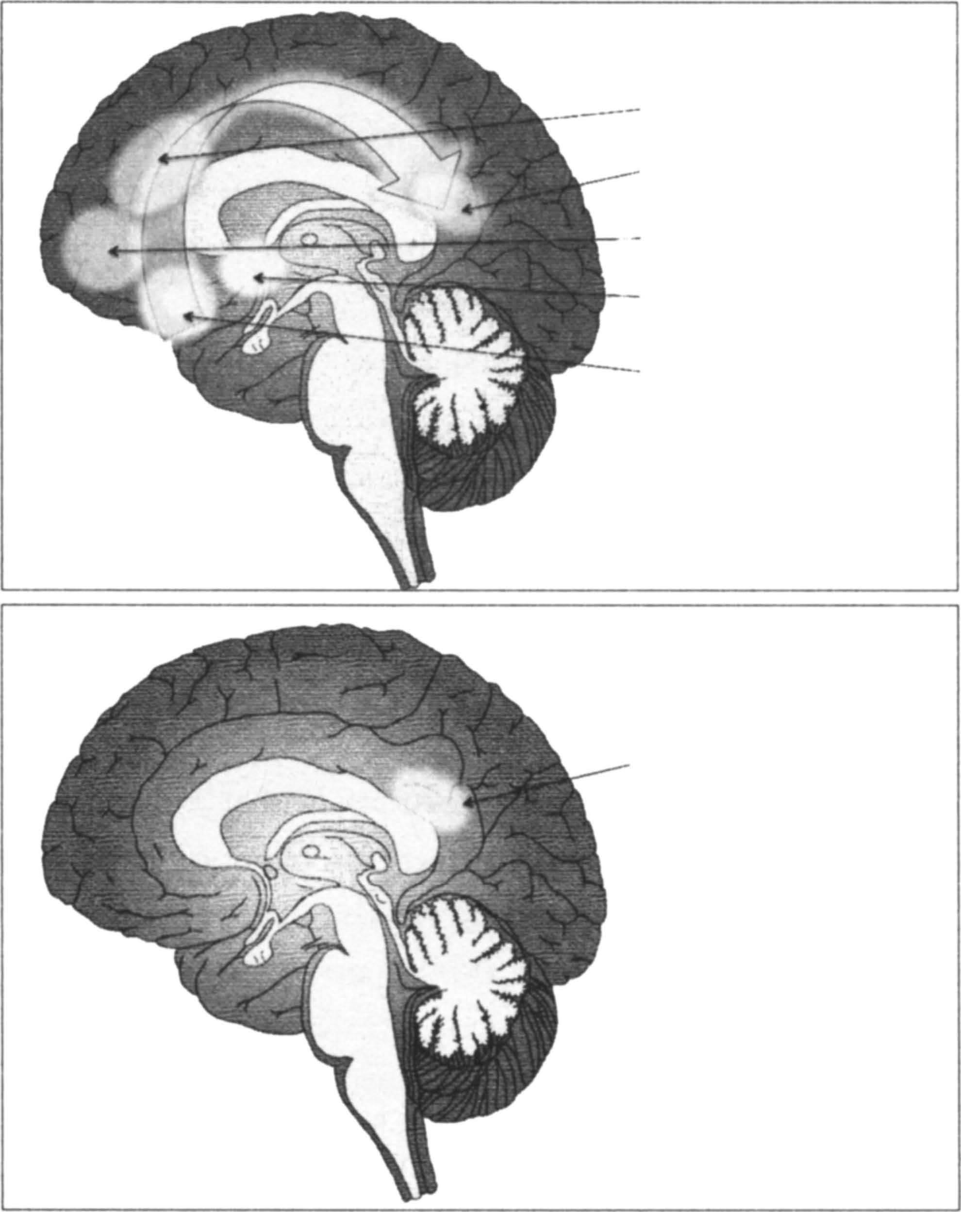 自我意识的大脑表征 - 知乎