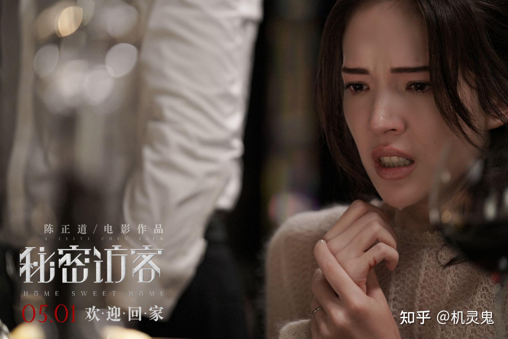 秘密访客怎么样含剧透慎入