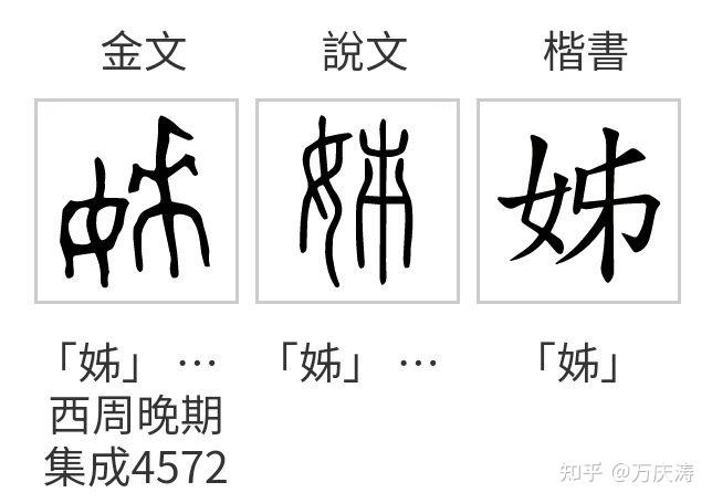 汉字探源:姊为什么是姐姐? - 知乎
