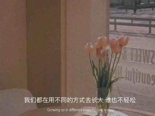 简短文案短句干净治愈(30句高质量的干净治愈文案短句)