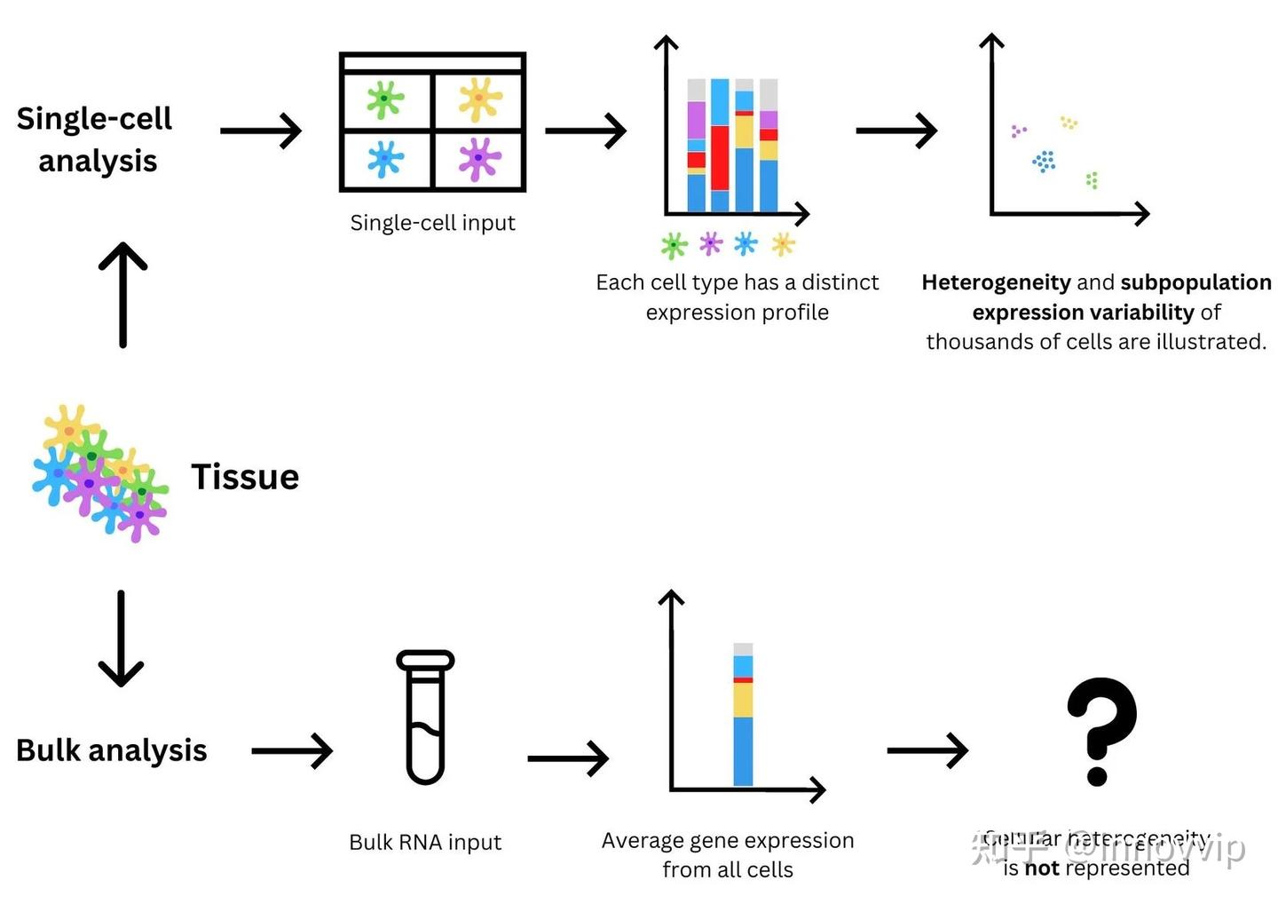 单细胞RNA测序的发展 从单细胞RNA测序(scRNA-seq)到活细胞测序(Live-seq) - 知乎