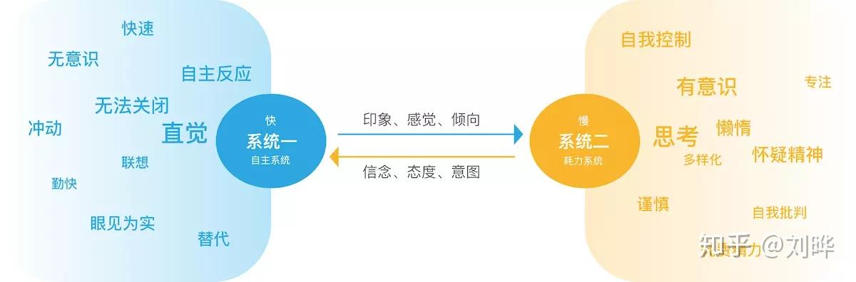 总跑在自动挡上的直觉思维要警惕