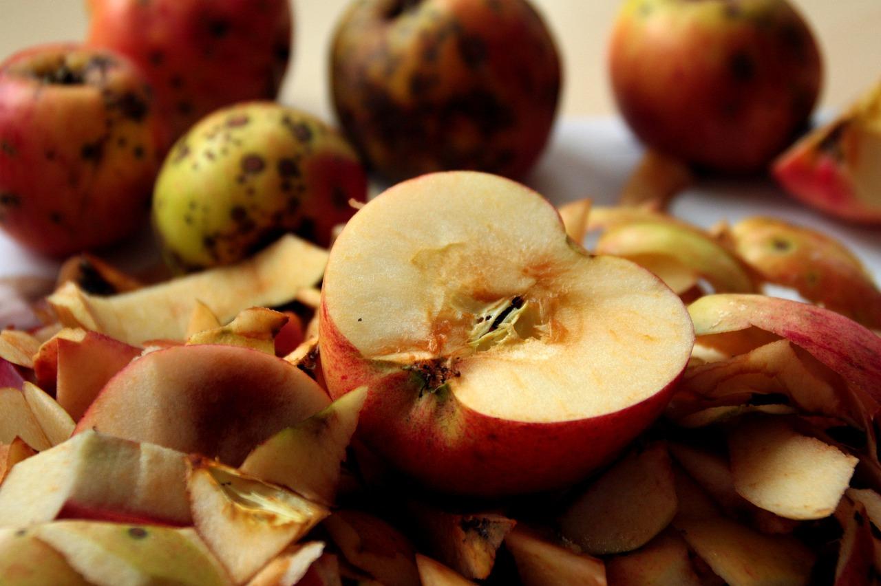 4. 发酵过程监控