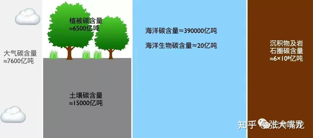 全球碳循环--生态系统物质循环 - 知乎