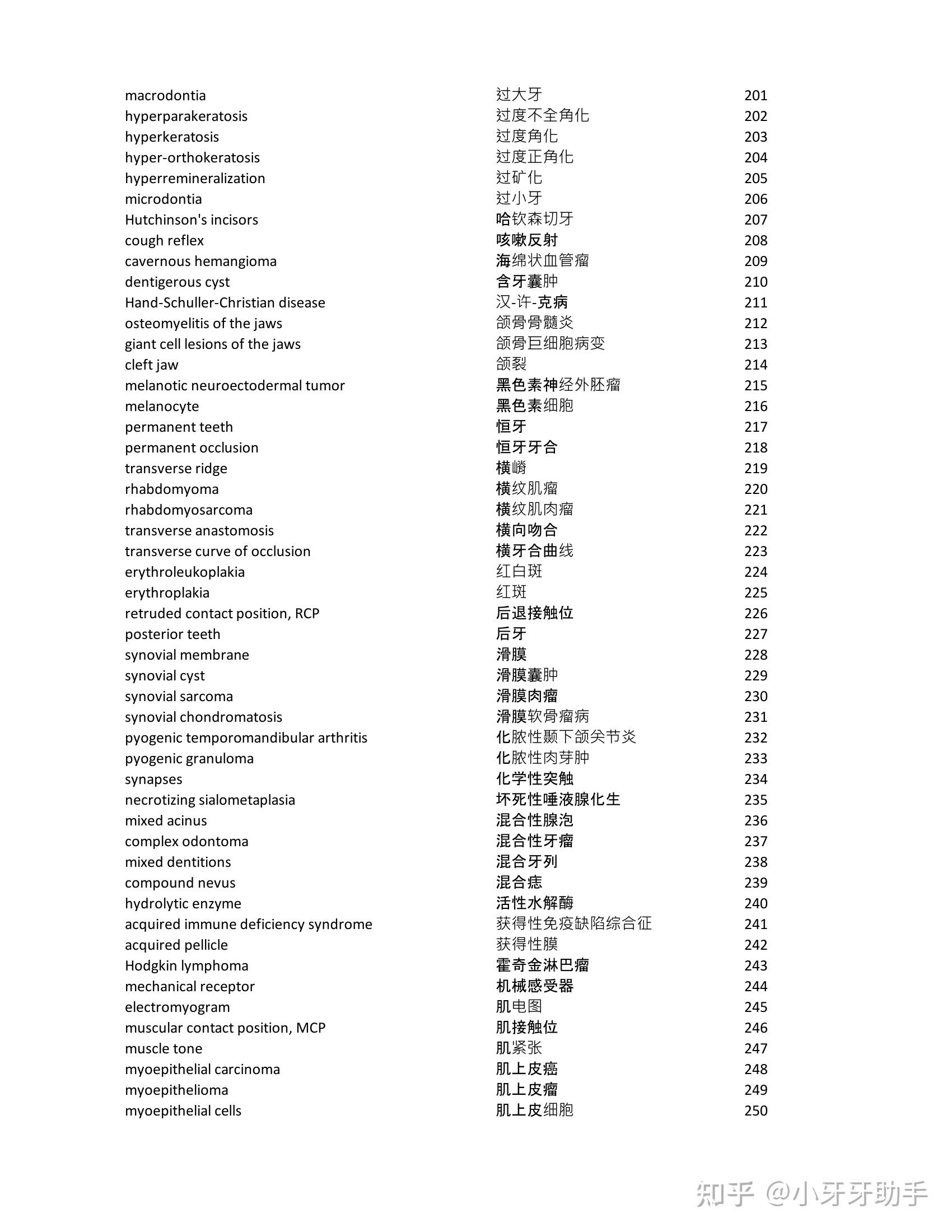 Dental medicine English vocabulary diagram covering oral histology, pathology and tooth anatomy