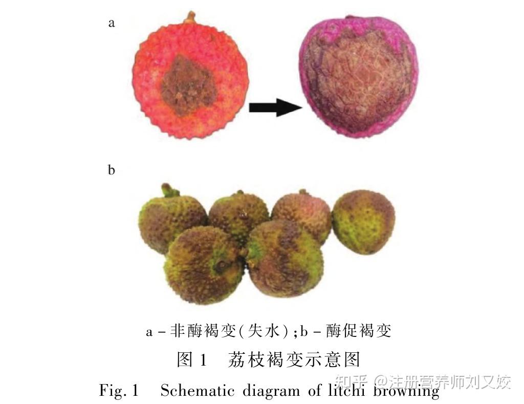 有人说透明的荔枝是「活荔枝」,奶白色的是「死荔枝」,为什么会有这种差异?在口感上区别大吗? - 知乎