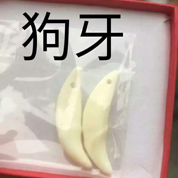 如何区分狼牙和狗牙与其他兽牙 - 知乎