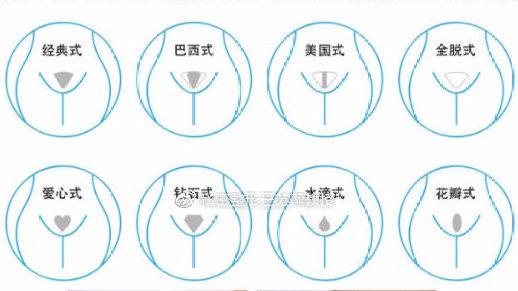 女性私密阴毛都长什么样子 知乎 女性私密阴毛都长什么样子 知乎