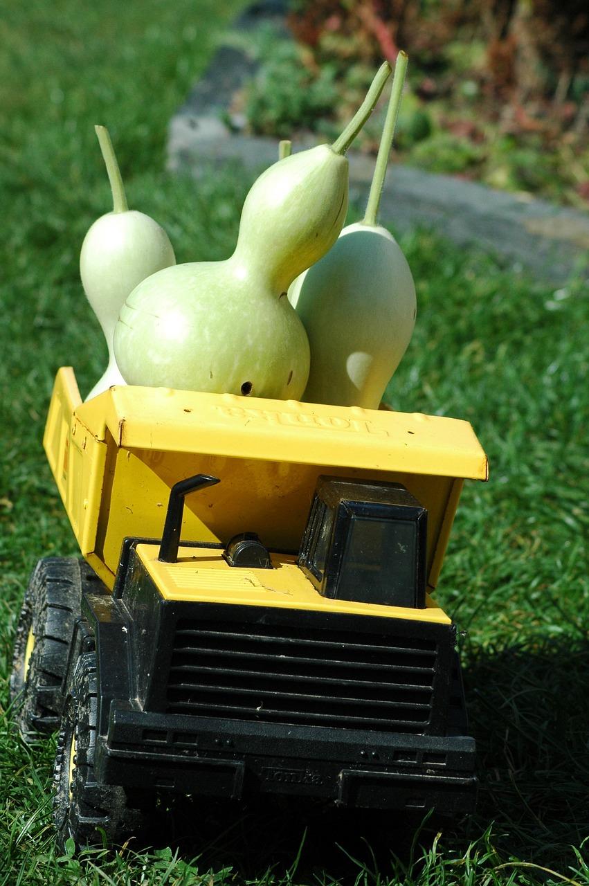 屋顶绿化防水解决方案