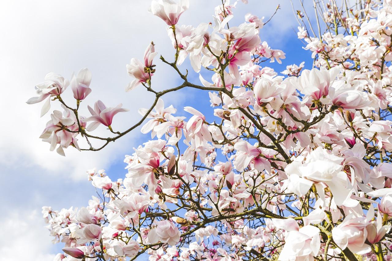 4. 濮水花园位置