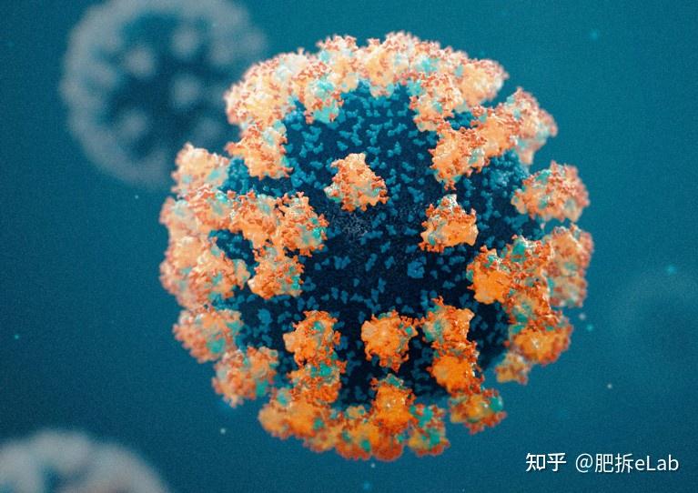 认识新冠病毒covid-19 - 知乎