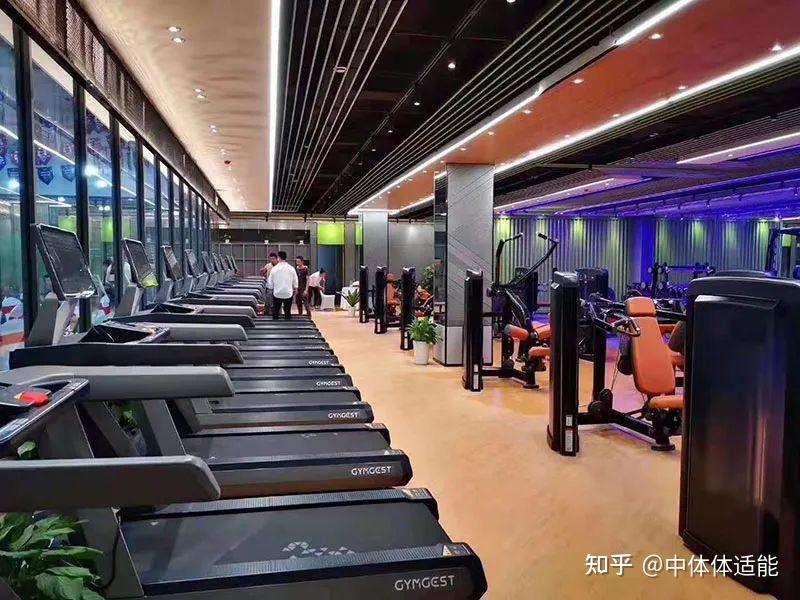 青禾游泳健身成为ibfa国际青少儿体适能等级考评基地