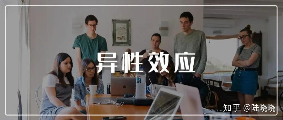 应该选哪个