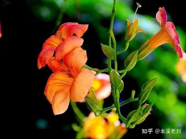 怎么拉近与一个人之间的距离 - 知乎