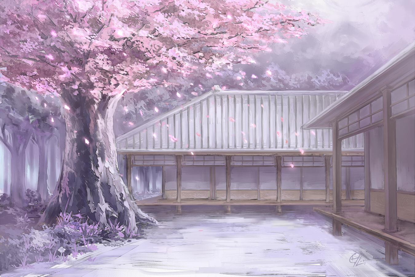 Cherry Blossom Art Wallpapers - Top Free Cherry Blossom Art Backgrounds ...