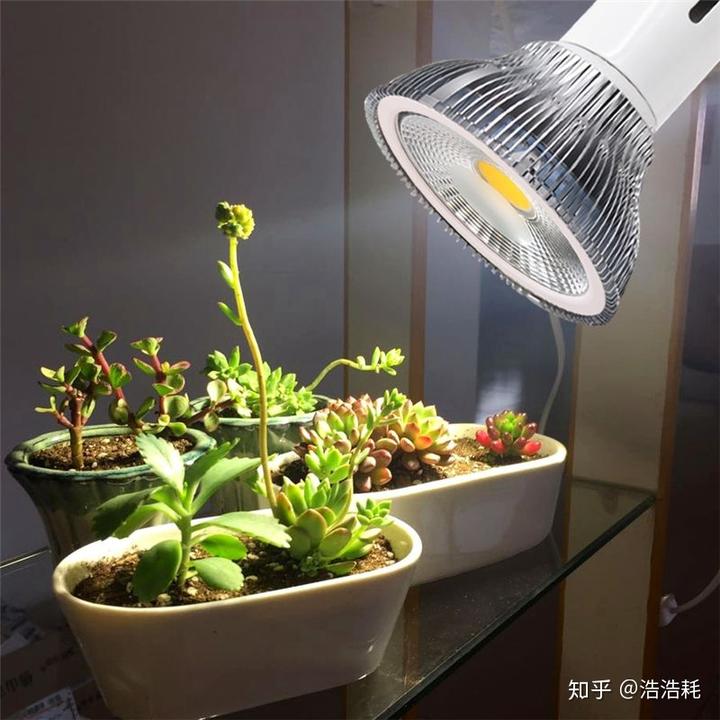 如果不得已要熬夜,怎么将熬夜的伤害减到最轻? 3 v2 0b62b9dbd010b60e81c3d4d9aa4f17fc 720w