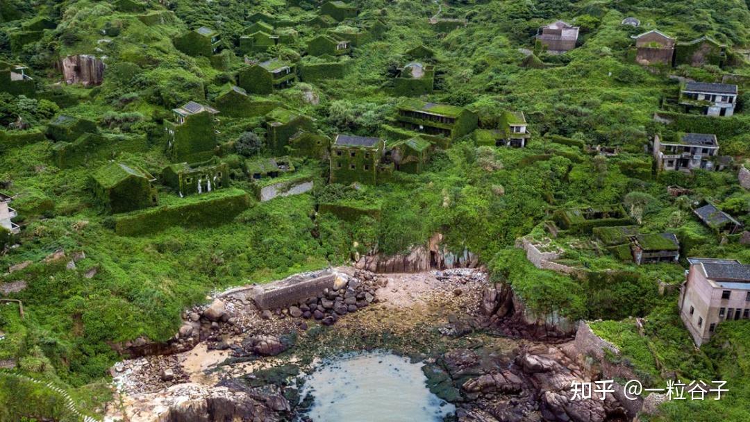 中国被时间遗忘的村庄：植物“吞噬”的嵊山荒村？ - 知乎