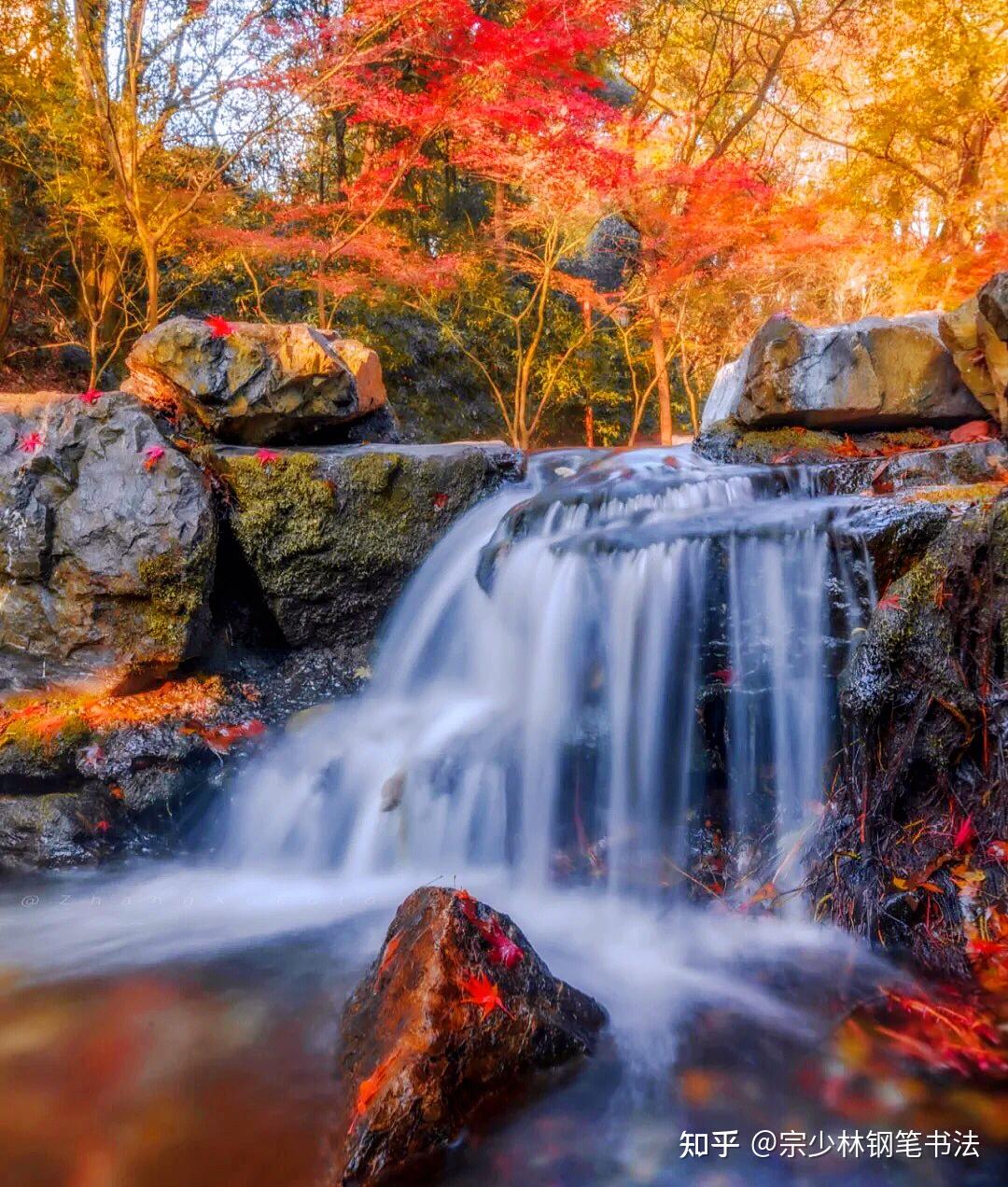 南京有山有水的景点图片