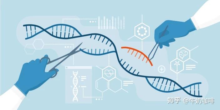 一文总览crispr-cas9基因编辑技术 - 知乎