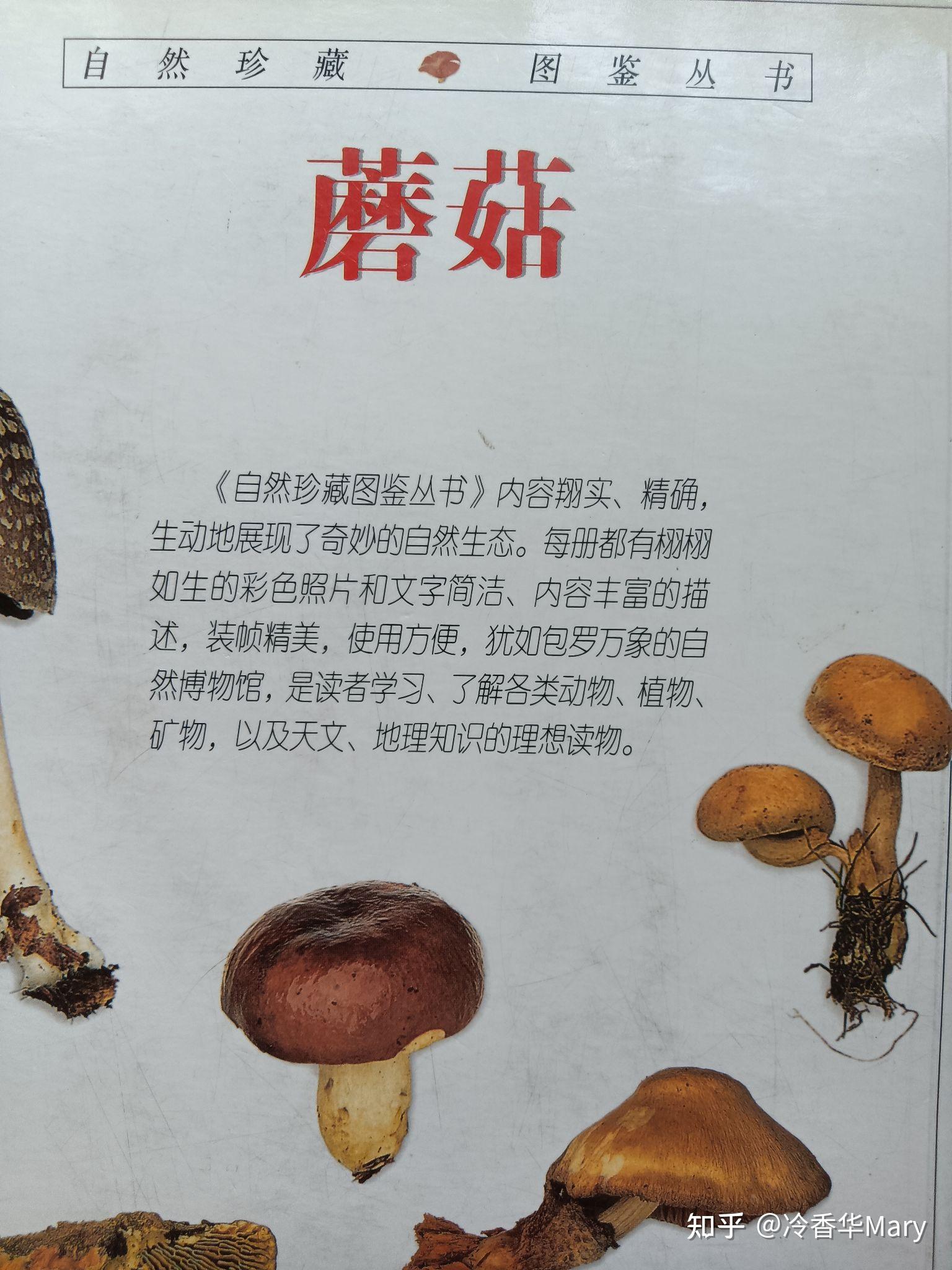 这种蘑菇的成熟菌褶是粉红色,其他部位却是通体的灰褐色.