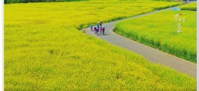 《中国旅游报》整版报道崇州"春日经济"