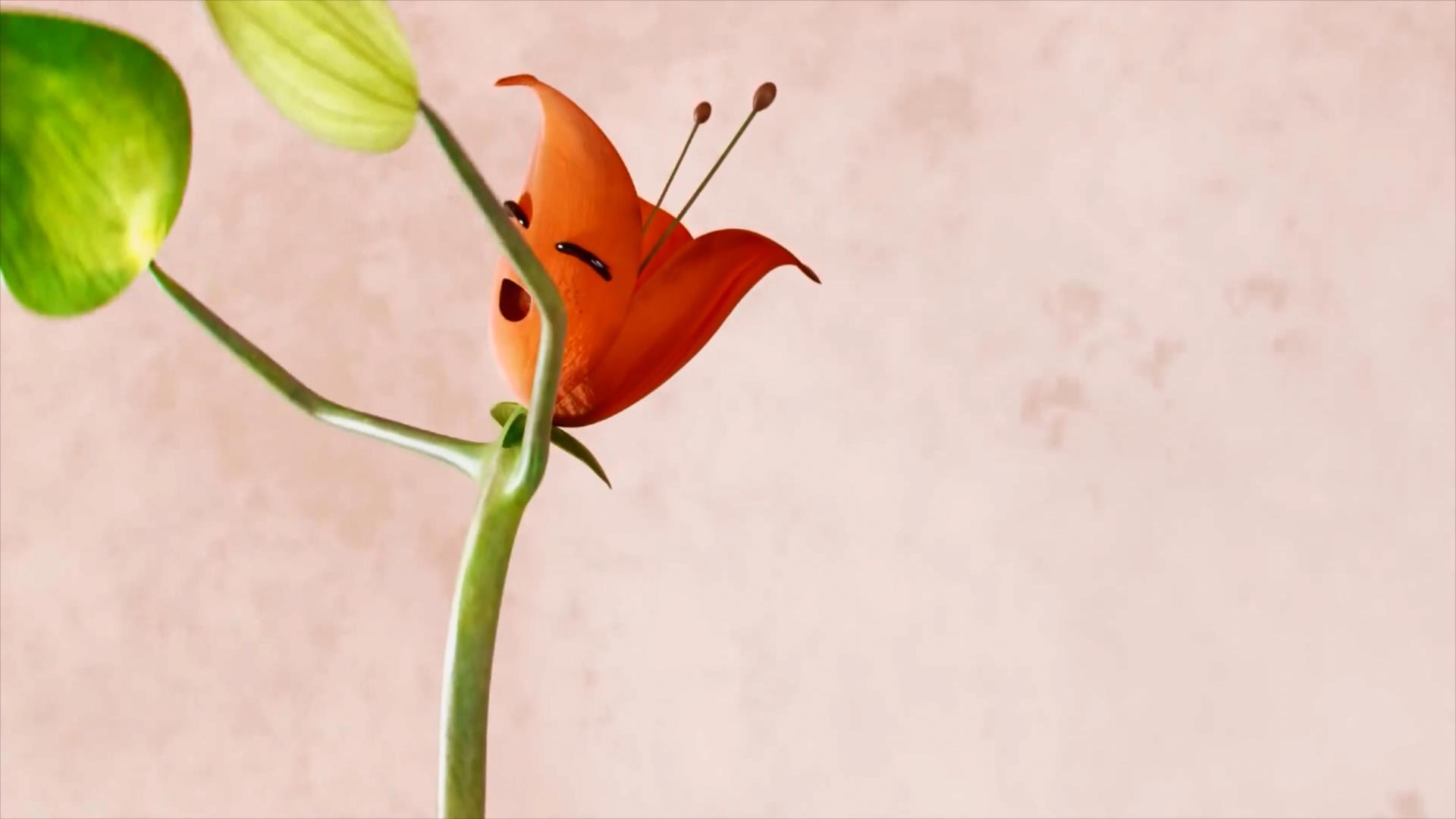 国际获奖动画短片《一朵花的信仰》:叶子 & 希望
