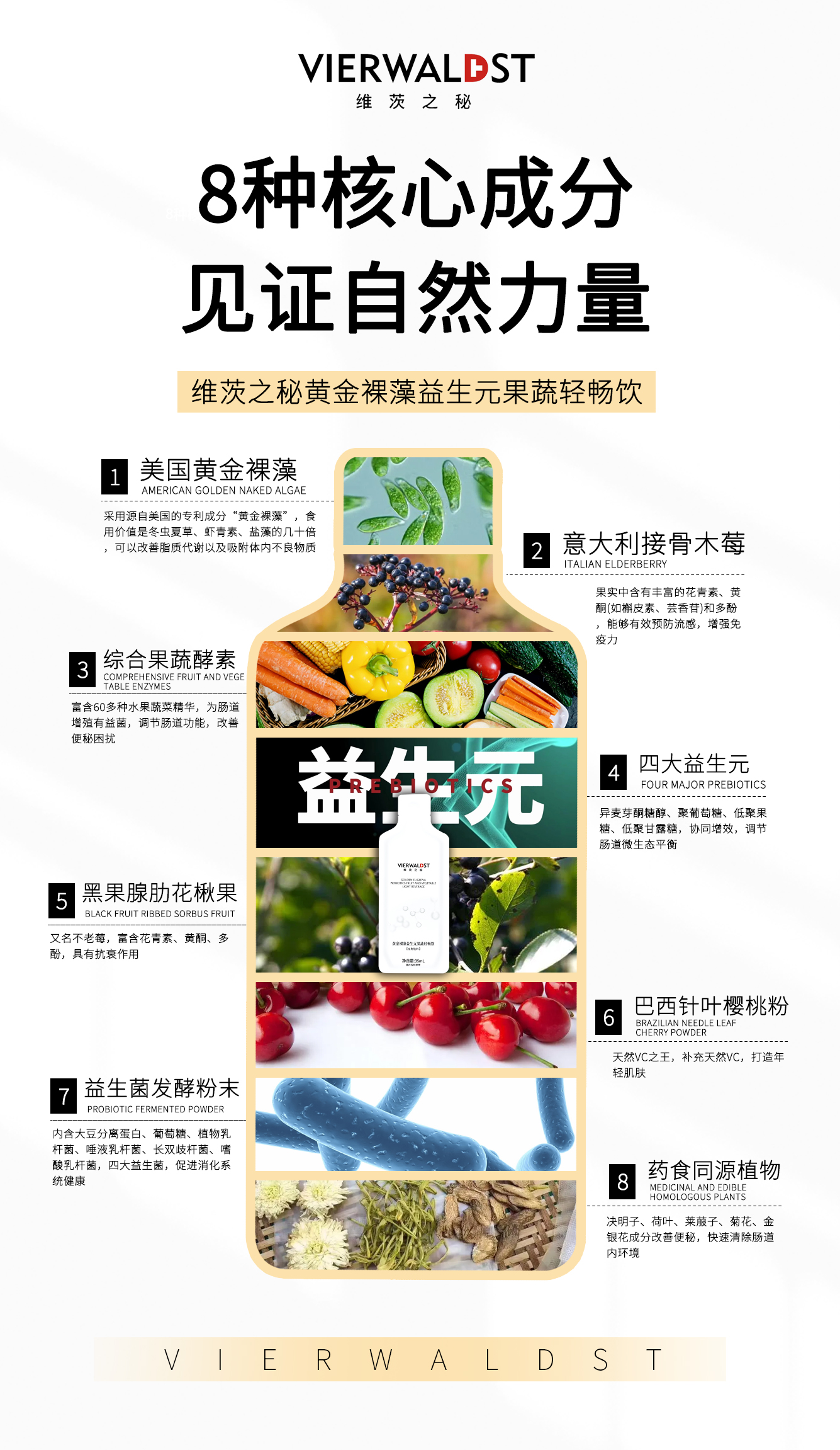 维茨之秘：一篇说透免疫小黑果---接骨木莓！ - 知乎