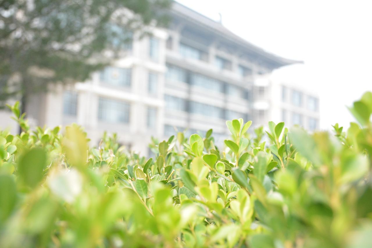 北大城规怎么样