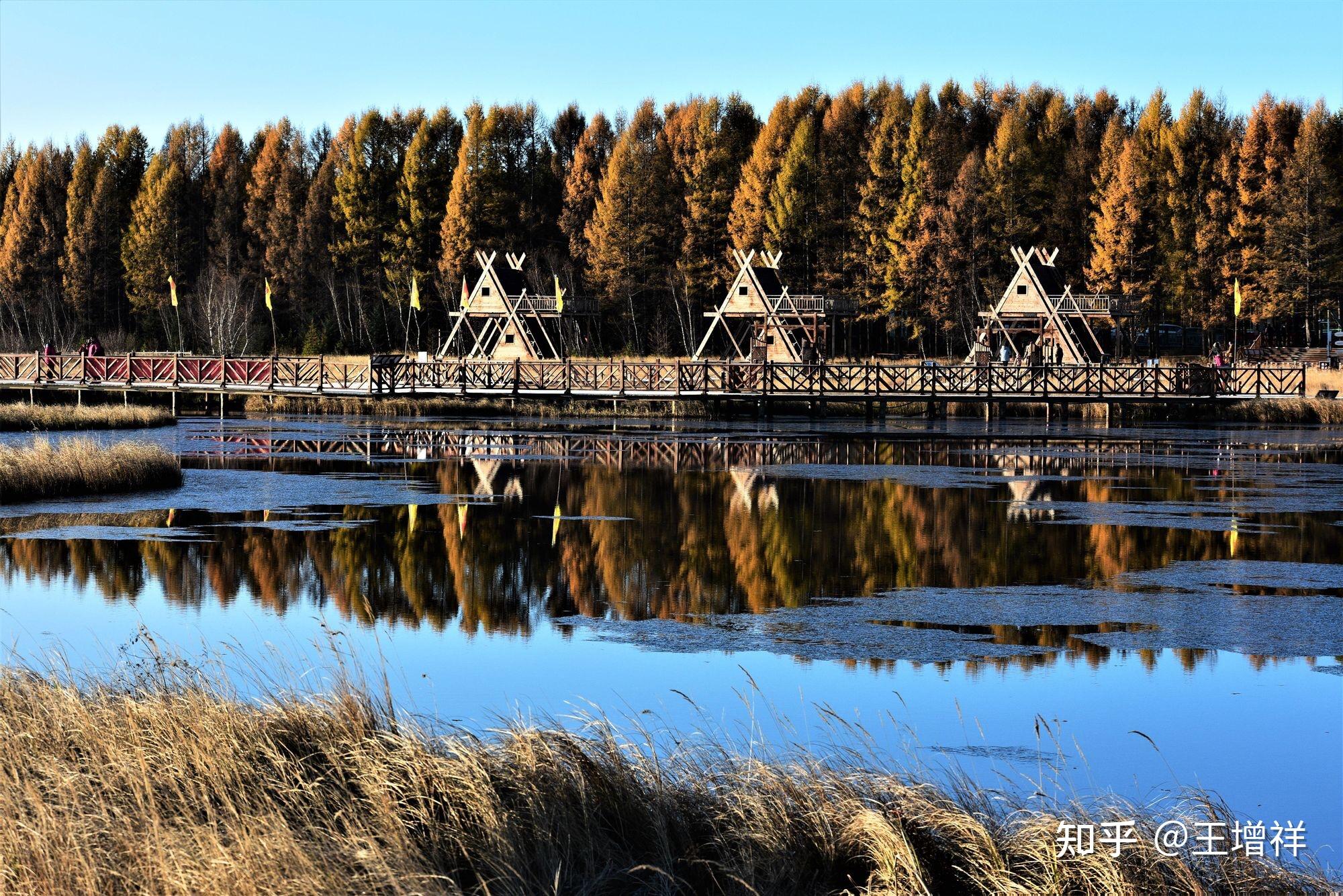 塞罕坝国家森林公园的自然风景怎么样? - 知乎