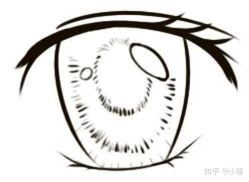 新手教学怎么画好各种眼睛文末含小技巧哦