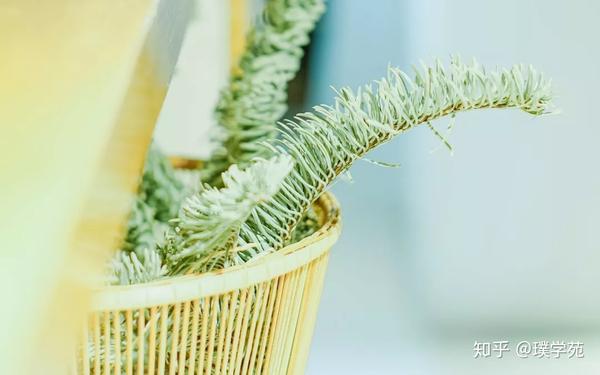 生日书 星星王子陪你过生日 6月4日 6月10日 知乎