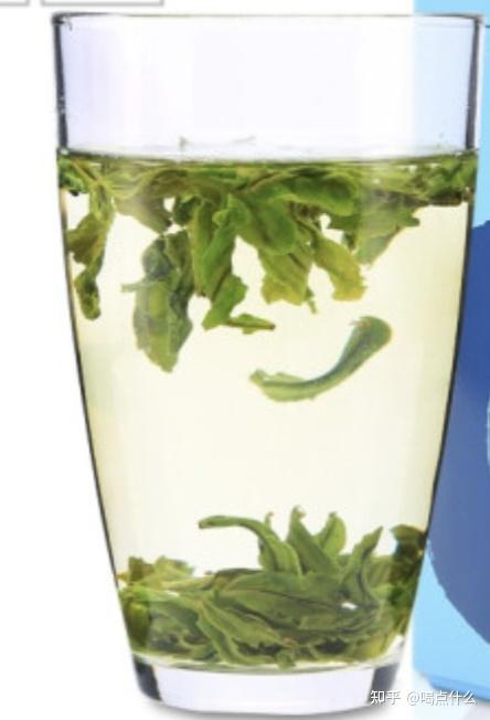 绿茶有哪些品种 前十名 v2-0bcf496666edf297cd02e2886b32aff0_r.jpg