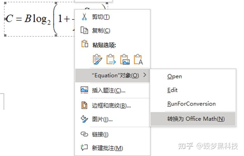 Latex mathtype ms word 