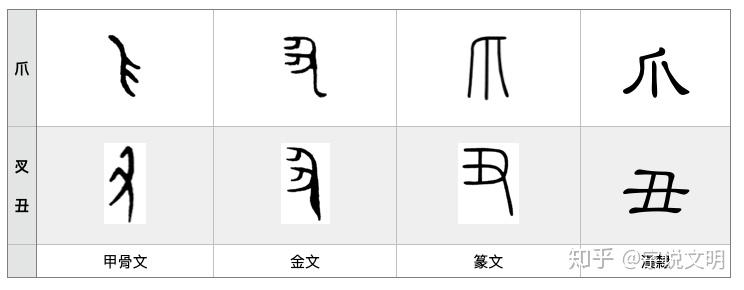 漢字的字元 肢體與動作 爪 㕚 丑 知乎