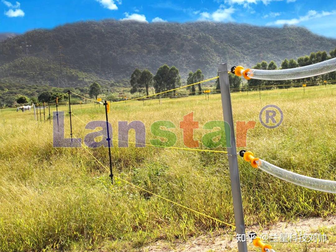 兰星科技畜牧电子围栏原理大揭秘:安全守护牛羊圈