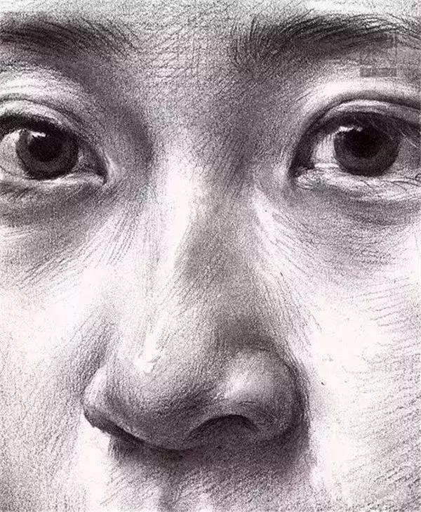 全面解析素描五官绘画方法 鼻子篇 第7期 小团 知乎 全面解析素描五官绘画方法 鼻子篇 第7期 小团 知乎