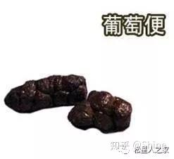 教你观察便便了解宝贝的健康状况 知乎