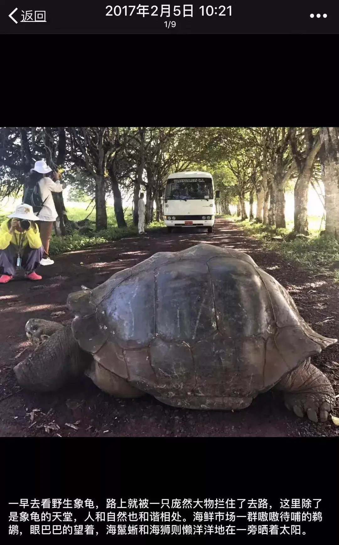 南美的加拉帕戈斯群島,聚集了一大批神奇動物,魔幻程度不亞於電影中的