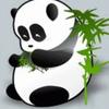 渐渐的被你吸引