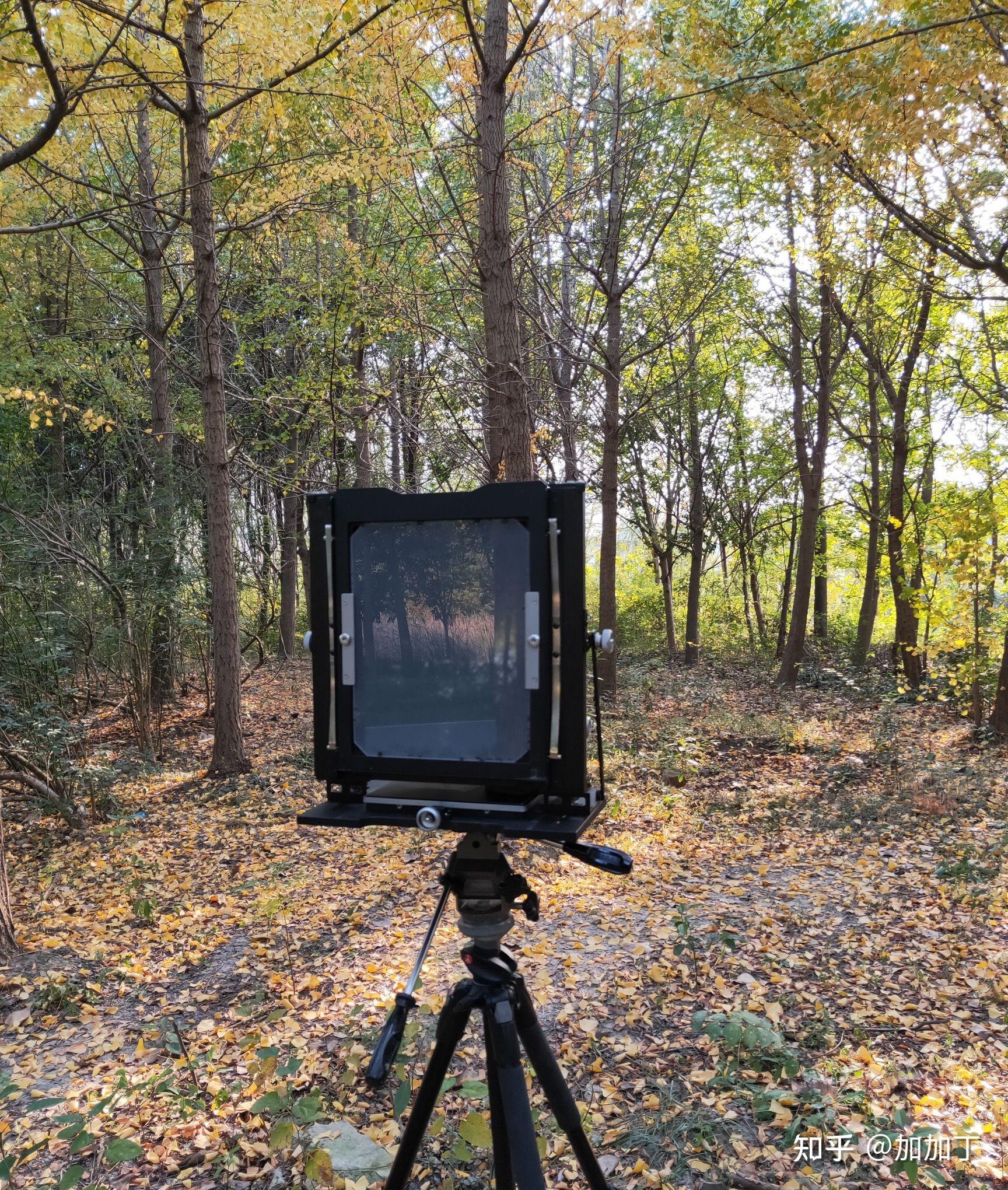 胶片相机的大画幅,中画幅,小画幅指的是什么? - 知乎