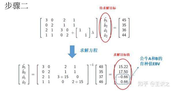 相比早期估測育種值的指數選擇(index selection)算法, blup可以對